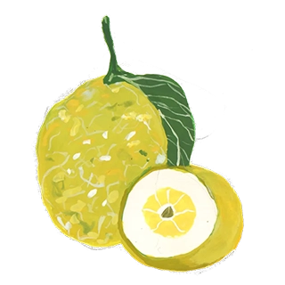 Gin Primo