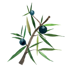 Gin Primo