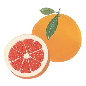 Gin Primo